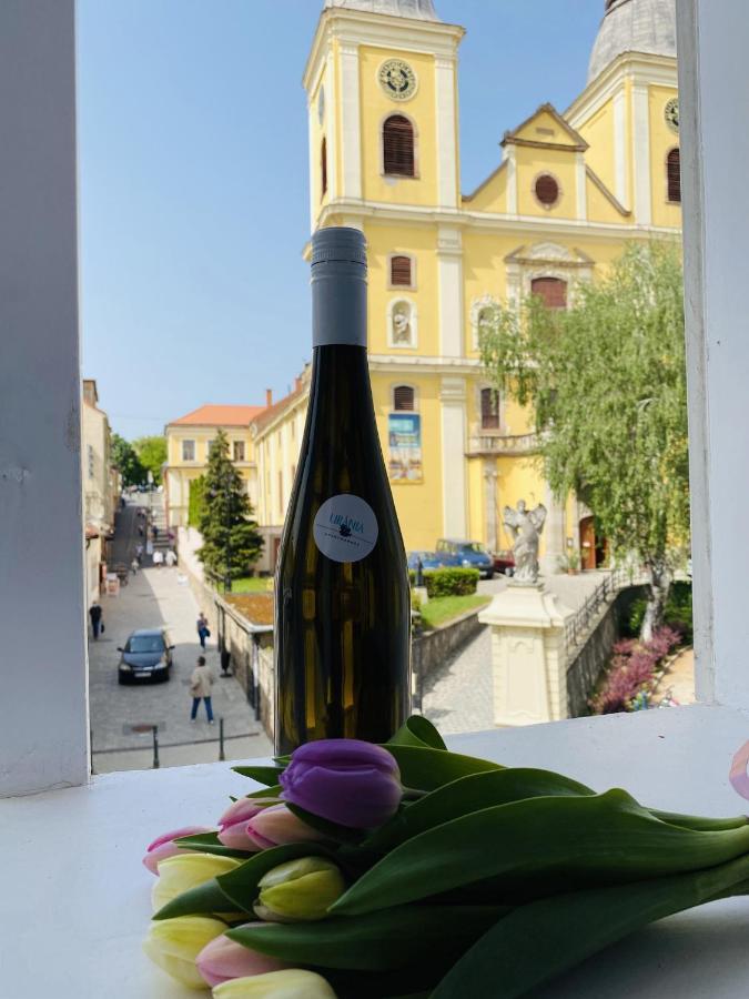 Urania Apartmanhaz Eger Zewnętrze zdjęcie